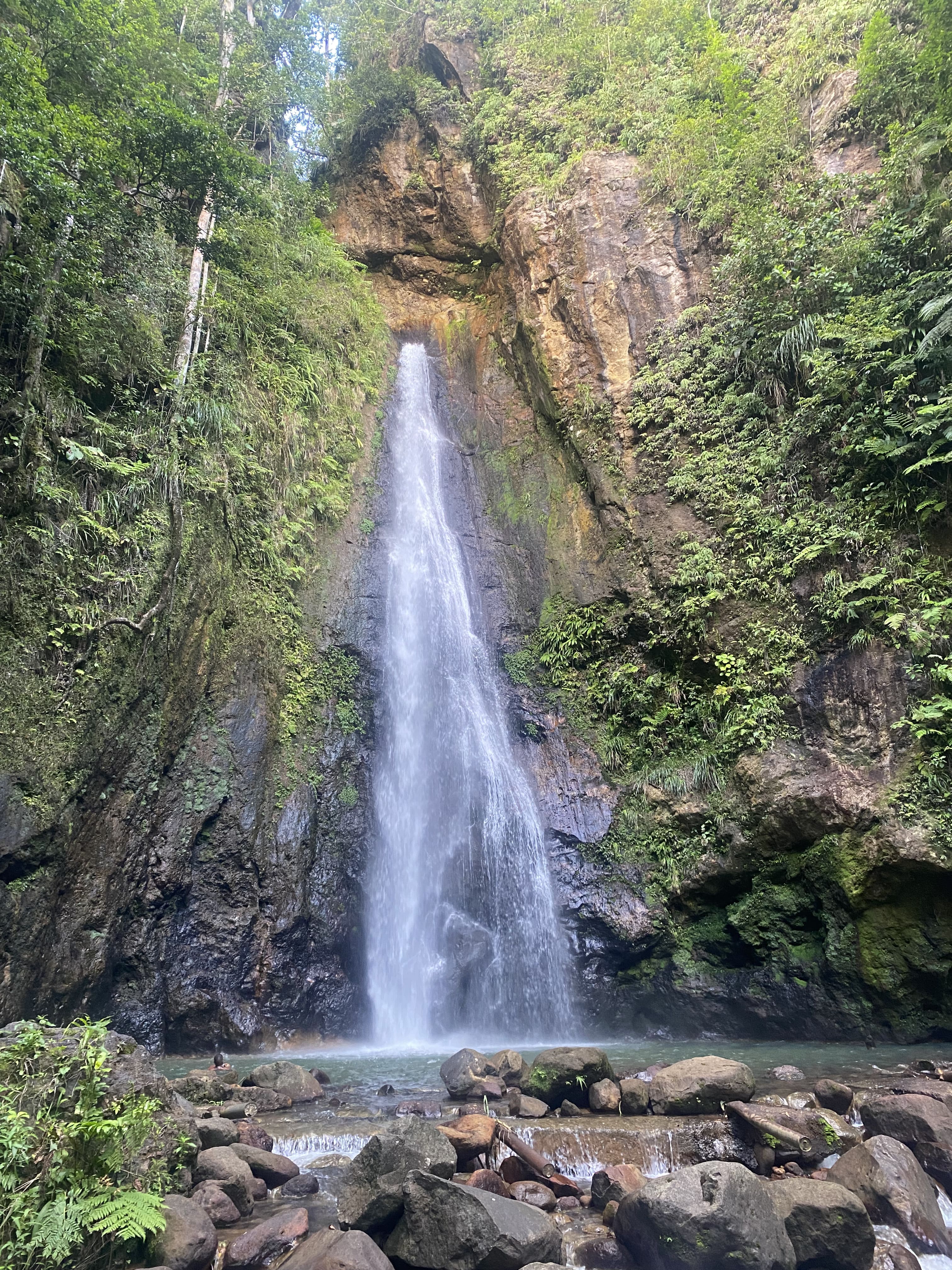 Voyage Dominique - Travel planner organisation voyage sur mesure Dominique